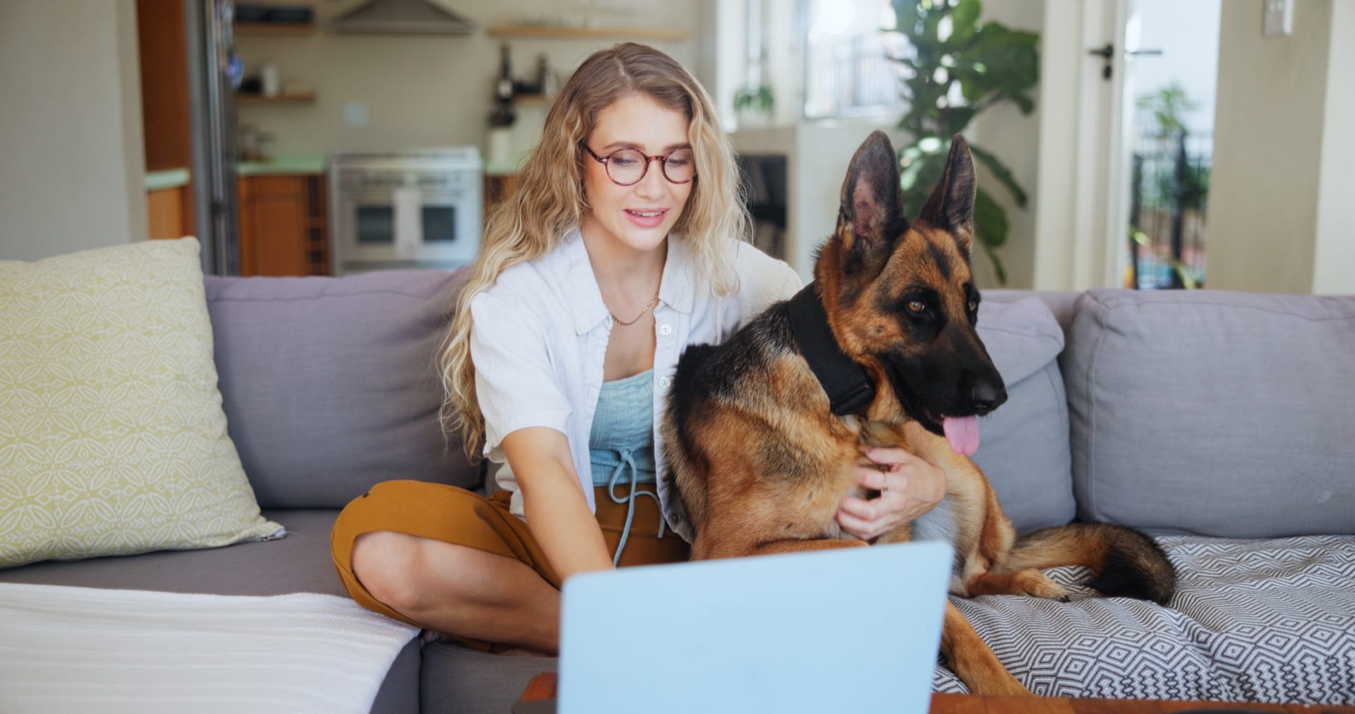 Pet insurance coverage